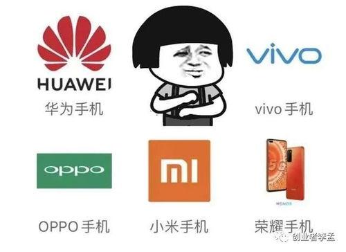 没头没脑手机在线观看,揭秘神秘剧情，探寻真相之谜