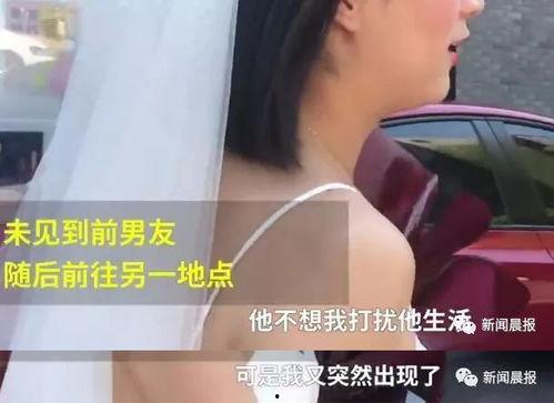 依涵的前男友爆料视频,揭秘昔日恋情背后的真相